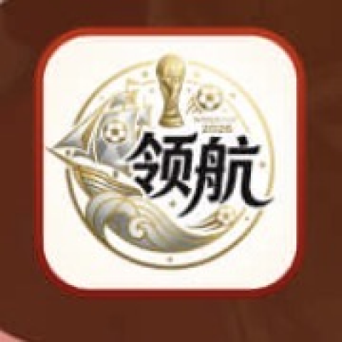 领航国际
